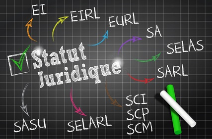 Le choix de la forme juridique de l'entreprise