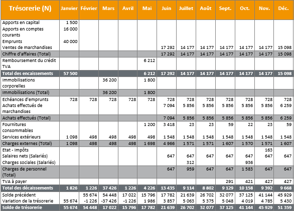 exemple de plan de trésorerie prévisionnel