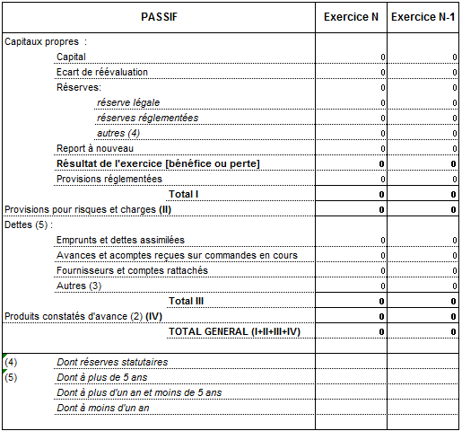 exemple de passif avant répartition (système abrégé)